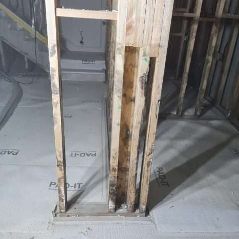 Gallery restoration